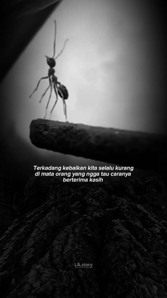 #fypシ #reminder #storytime #lastory 