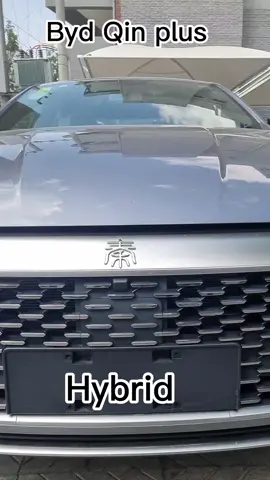 #luxurycar #santafe #viral_video #qinplus #electriccar #hybrid #fyp #goviral #viralditiktok #addisababa #habeshatiktok 