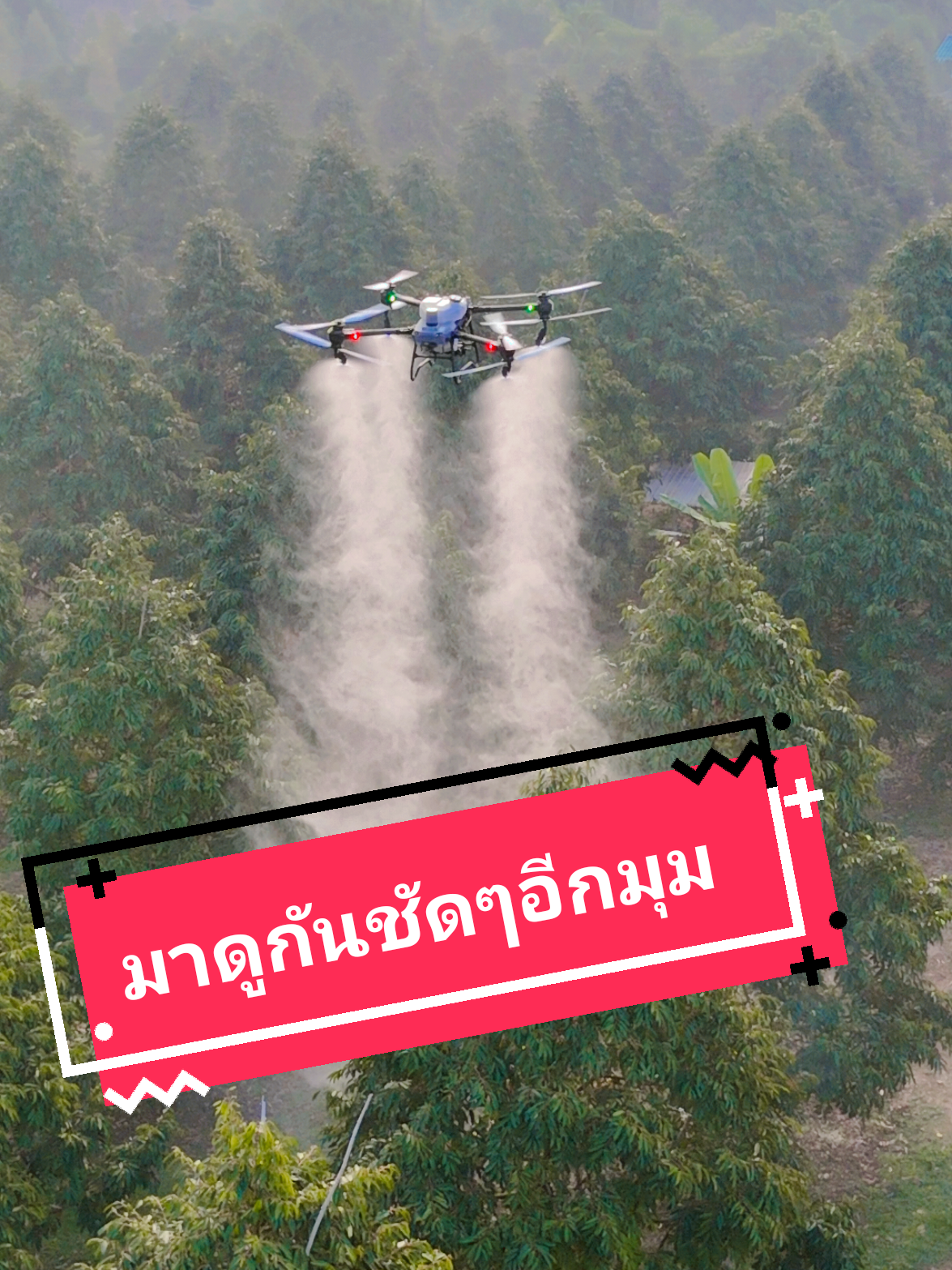 ดูโดรนบินพ่นยาทุเรียนกันเพลินๆ#โดรนพ่นยาเพื่อการเกษตร #โดรนเกษตร #โดรนพ่นยาสวนทุเรียน #ประหยัดเวลาและแรงงาน #ชลบุรี #จันทบุรี #ระยอง 