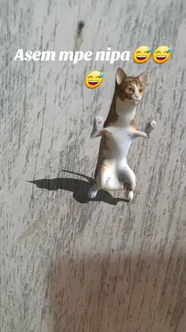 ##asem mpe nipa#😆😆😅😅😅