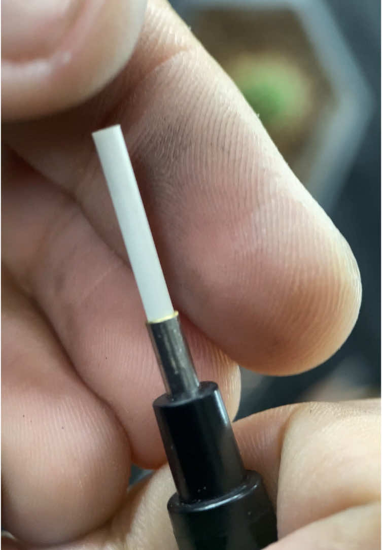 Mono zero eraser in action😍😍 Tags: #artbyalihaider #alihaiderrehman #hyperrealistic #hyperrealism #hyperrealisticart #hyperrealismmasters #hyperrealisticdrawing #artist #artistic #artsy #artgallery #sketch #sketchbook #sketching #sketchup #drawing #outline #asmrart #asmrdrawing #trick #technique #eagle #eagledrawing #eagles #eagleeye #eagledrawing🎨 