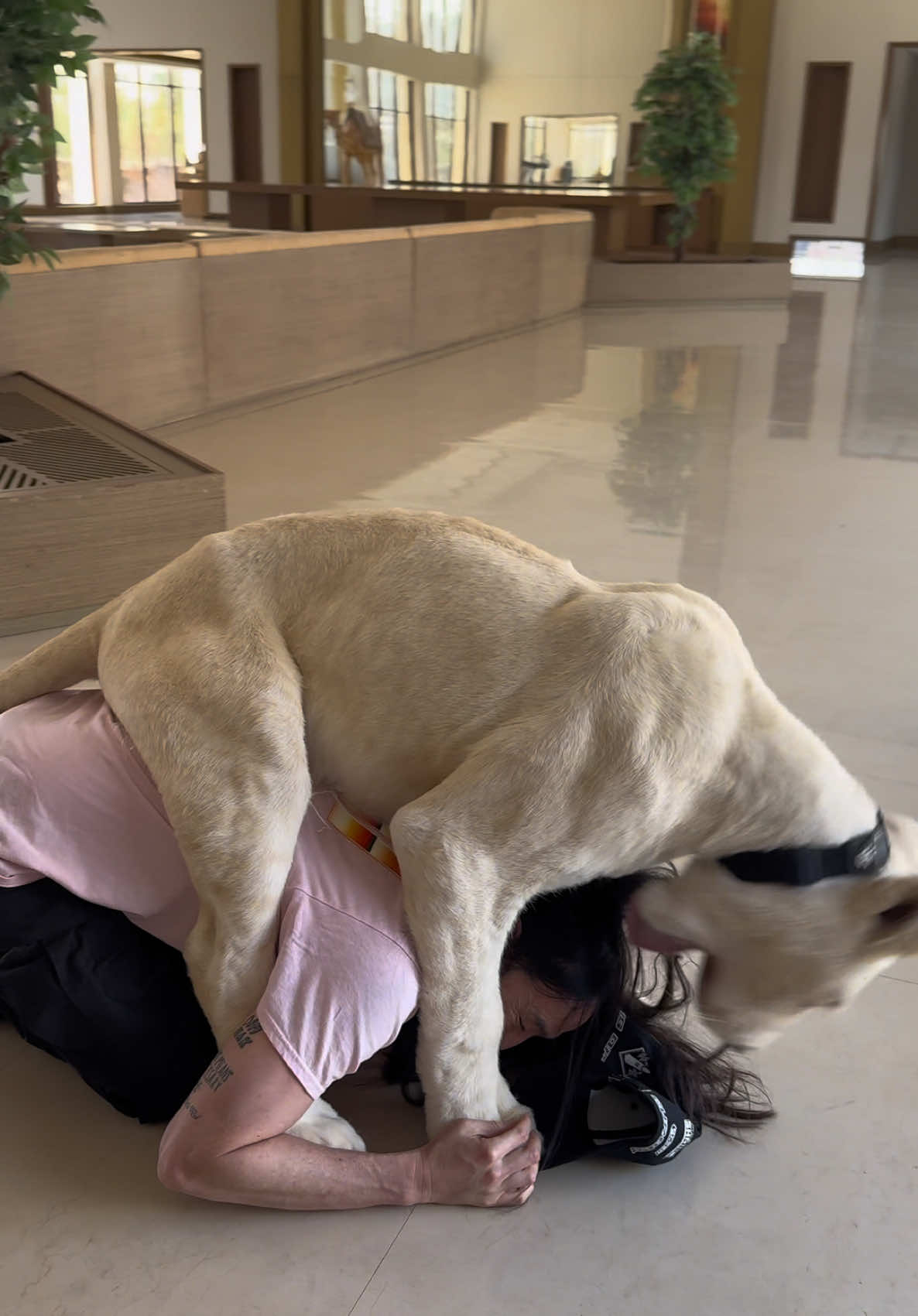 When the prank goes wrong 🤪