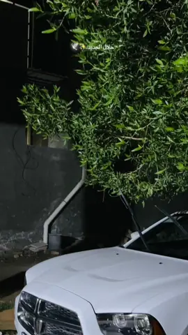 ما شاء الله.                                                          #سواق_الخط_الدولي #سواق_تريلات_العراق_بازوايا🏁✈️📞 #خط_الدولي #بغداد_بصرة_موصل_الكويت_الخليج_دبي_ #ناصريه_كوت_حله_سماوه_اربيل_دهوك_احبكم_💚 #سواق_الخط_الدولي_✈️ #اوباما @البندر 