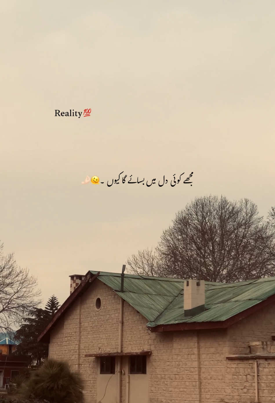 💯~#foryoupage #foryou #viralvideo #growmyaccount #aestheticvideos #aesthetic #poetry #urdupoetry #statusvideo #hehe_daniii #fyp 
