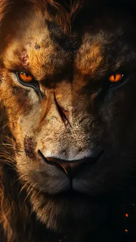 Mufasa Lion face live 4k wallpaper #livewallpaper #livewallpaper4k #4klivewallpaper #aiart  #lionwallpaper #leo #leonwallpapers #lion #lion🦁 #🦁 #animal #creatorsearchinsights #fyp #fypシ゚viral🖤tiktok #fypツviral #mufasa #lionking 