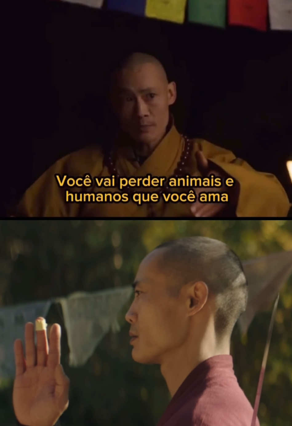 Você irá perder sua mãe, você irá perder seu pai, você irá perder animais... #tiktokmotivacional #motivation #mongeshaolin #kungfu #vidasaudavel #consciencia #fypp #motivacao #filosofia #shihengyi #brucelee #mentemilionaria 