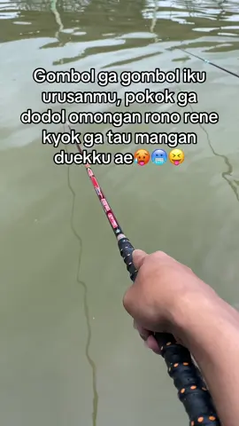 @Markeju💫 ehh ya ampunn🫵😆 #galatama #ikan #mancingikan #fyp #foryou #foryoupage #fypage #rilislelejawatimur #rilislelemalang #rilislelesidoarjo #mancing #kolampancing #cetilanlele #lombamancing #lombamancinglele #mancingmania #galatamalele #fypシ゚ #fypp #fyppppppppppppppppppppppp 