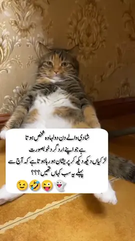 DHULA 🙃😂🤭 #viewspromblem😭 #funny #cutebaby #bts #cutecat #animal #status #viral 