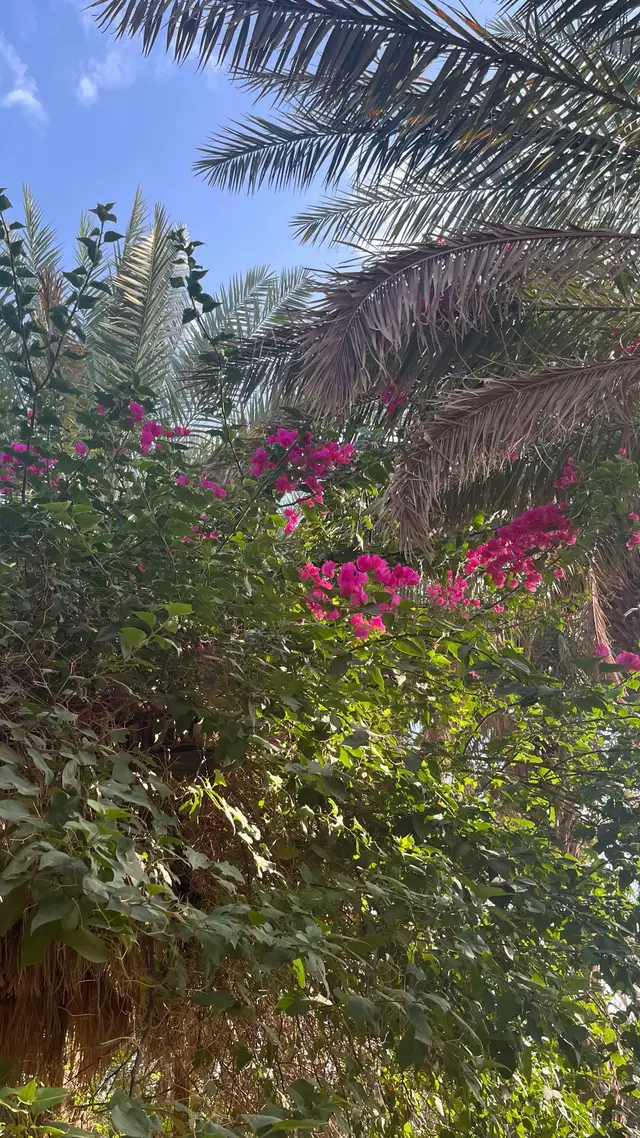 يارب ارحم من احزننا فراقهم وفطر قلبنا ذهابهم يارب انس وحشتهم وارحمهم 