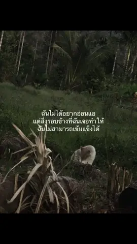 #fyp #เธรด #เธรดเศร้า 