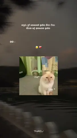 🫠🤍#foryou #flypシ #celon_tik_tok #trending #viralvideo #cupcut #lovestatus #hashtagstiktok 