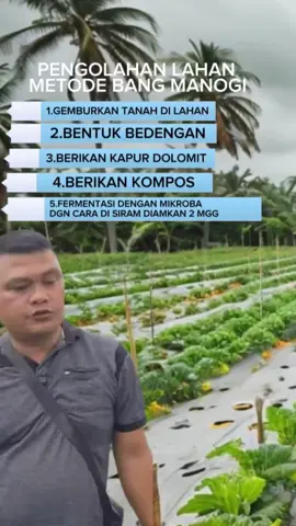 PENGOLAHAN LAHAN METODE BANG MANOGI #kumpulanvideopetanikreatif #manogipetanicabai 