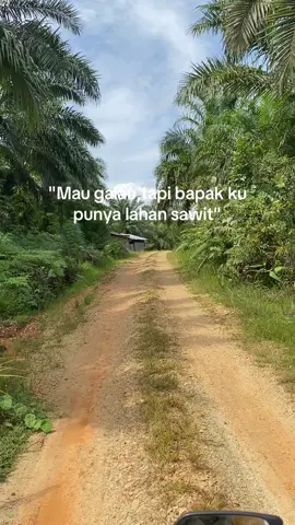 Nggak sombong tapi ada #sawit #lahansawit #petanisawit #sawitbapak #fyp 