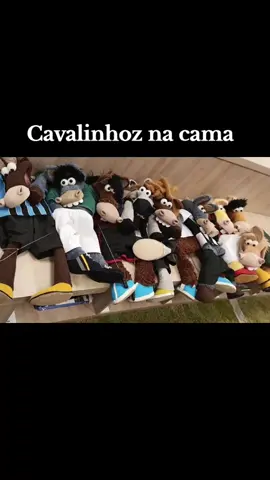 Rolling over #cavalinhoz #teninthebed 