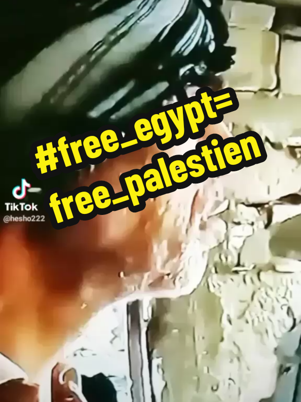#free_egypt=free_palestien #معركة_الامة 