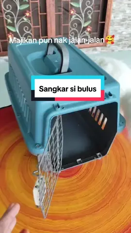 Sesekali bawah majikan jalan2 tampung nak bawa balik kampung,bawa ke klinik pun mudah kalau ada carrier yang macam ni. #sangkarhaiwanpeliharaan #sangkarkucingplastik #petcarrier #sangkarkucing 