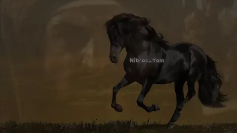 يقول الهلالي والهلالي سلامه شوف الفجوج الخاليات تروع .. يقول الهلالي والهلالي سلامه يبغى الطمع وهو وراه طموع ——- #نبراس_يام #صالح_الكيرعاني#ابو_زيد_الهلالي #جزل #explore #اكسبلور #explor #شعراء #نجران #اكسبلوررر #foryou #fyp #الجنوب #يام #قحطان #شعراء_الجنوب #جزل_القصيد  @صالح حسن الكيرعاني  🤍🙏🏼