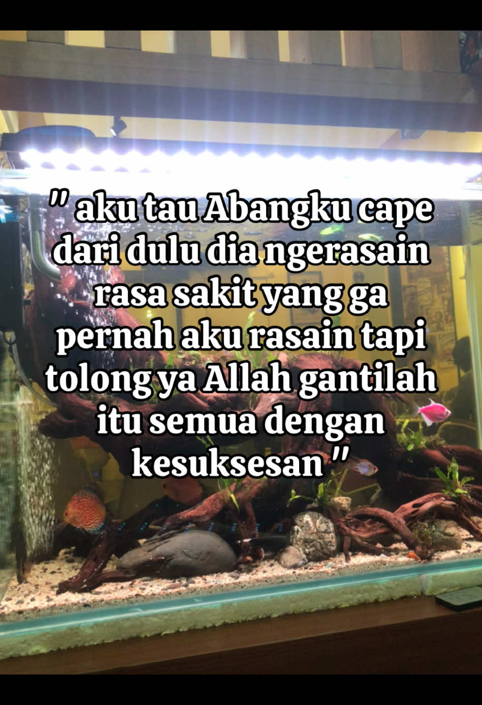 Membalas @reenn  semangat para kakak” abang”💪🏻 #fyp #lewatberanda #moots #berandatiktok #fyptiktok #moots? #nina #katakata 