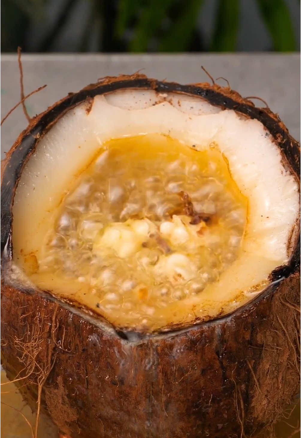a coconut can be transformed into anything you want! Just imagine 🥥 #accessory #DIY #creative #glasses #funky #colourful #coconut #DIY #craft  