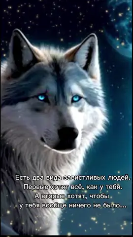 #рек #цитаты #мысли 