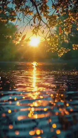 beautiful scenery with relaxing music #nature #naturaleza #natura #beautifulview #naturevibes #landscape #relaxing #naturerevue2025 