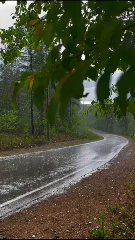 sessiz bir mecra. 🌧️ #fyp #rafetelroman 