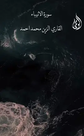 الزين محمد احمد 🩵سورة الانبياء #تلاوه_خاشعه_وراحه_نفسيه #الشيخ_الزين_محمد_احمد #قران_كريم #foryoupage #سودانيز_تيك_توك_مشاهير_السودان #مشاهير_السودان 