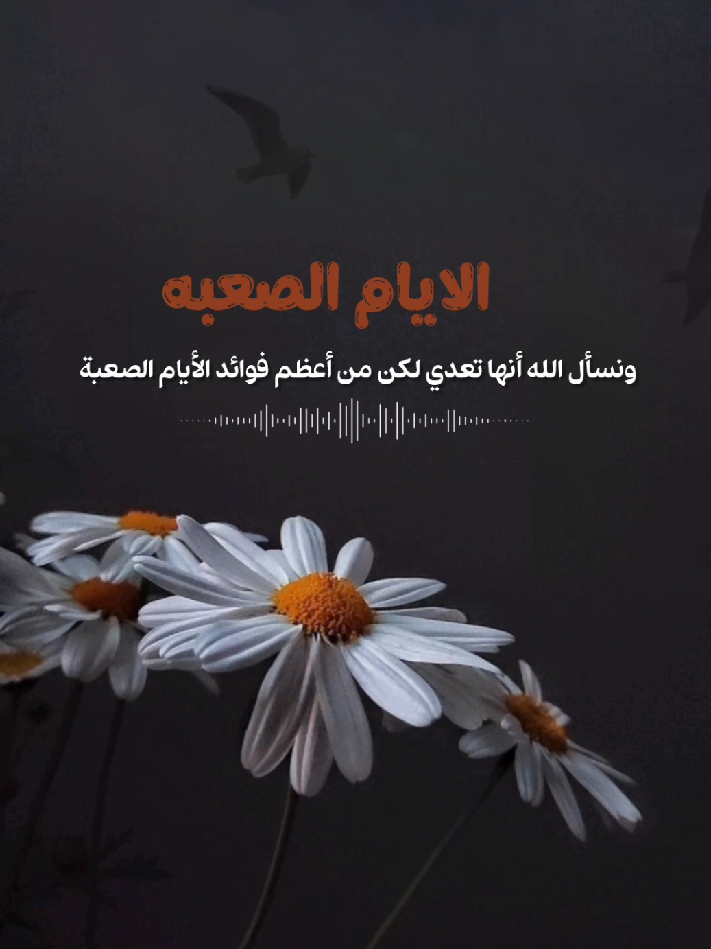 فوائد الأيام الصعبة #استغفرالله_واتوب_اليه_من_كل_ذنب_عظيم #اكسبلور #دعاء #موعظه #استغفرالله #fyp #foryoupage #foryou #explore #تصاميم_ghym3377 