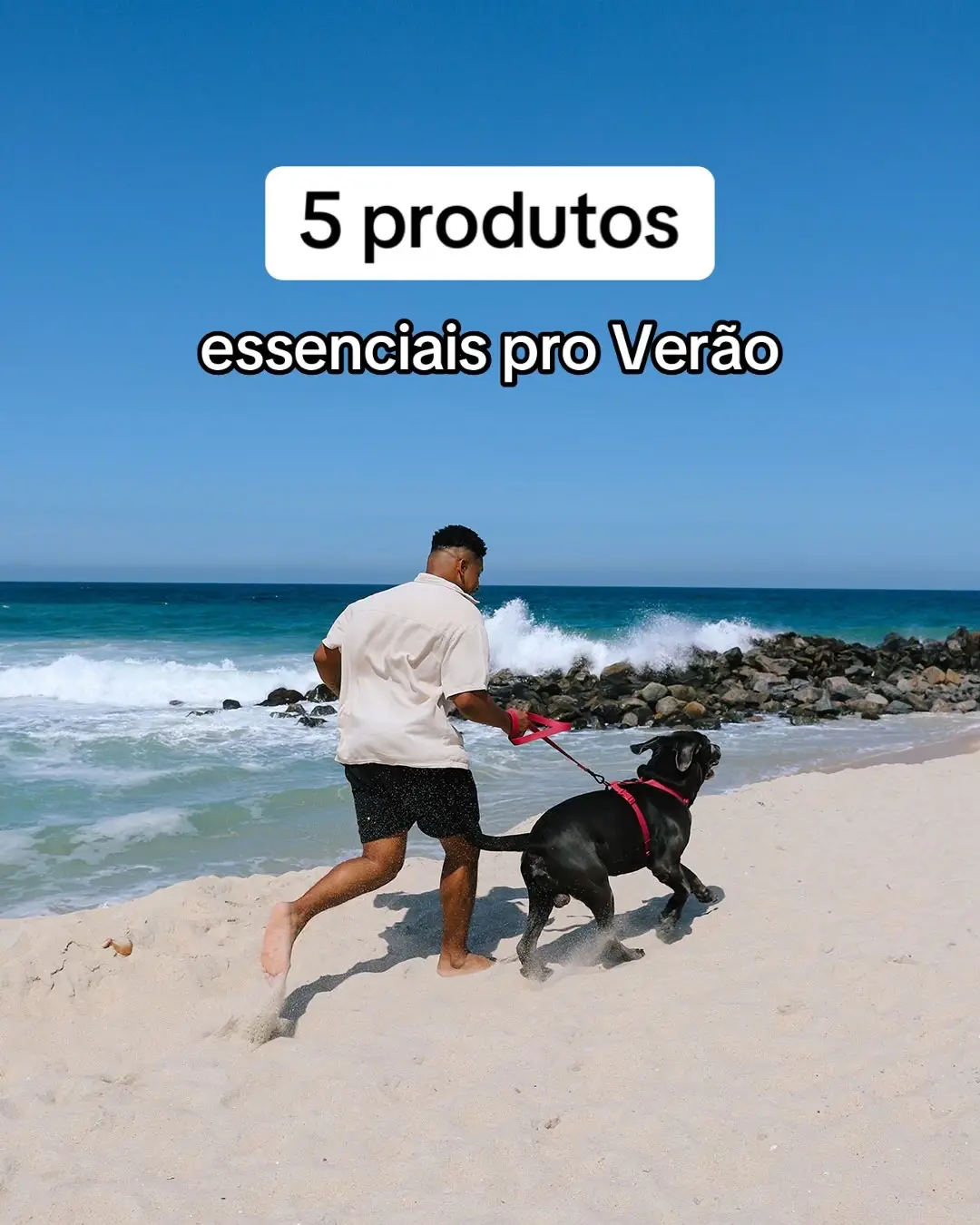 Os dias de verão tão cada vez mais quentes. Confira 5 produtos essenciais pra garantir que seu pet tenha uma experiência mais agradável durante esse período do ano :) #verao #fy #pet #pets #dicas 