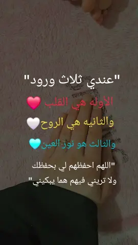 #اولادي_كل_حياتي ❤️@}~بہيہسہانہ~{~🎀🌺 @Dibo othman 