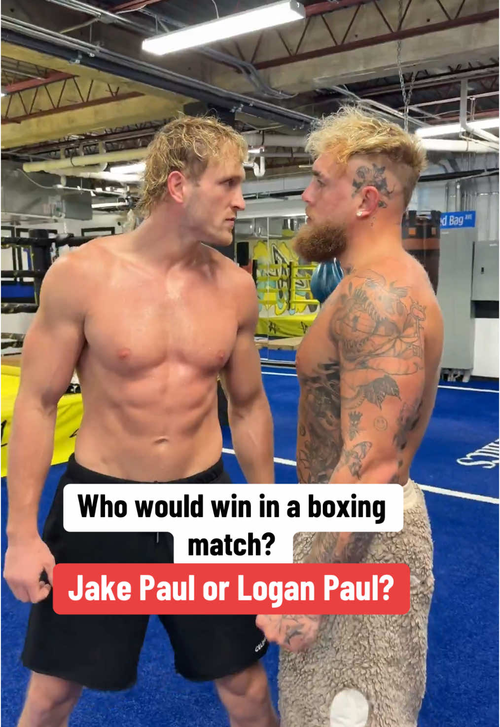 Who ya got? (@Jake Paul) #boxing #jakepaul #loganpaul 