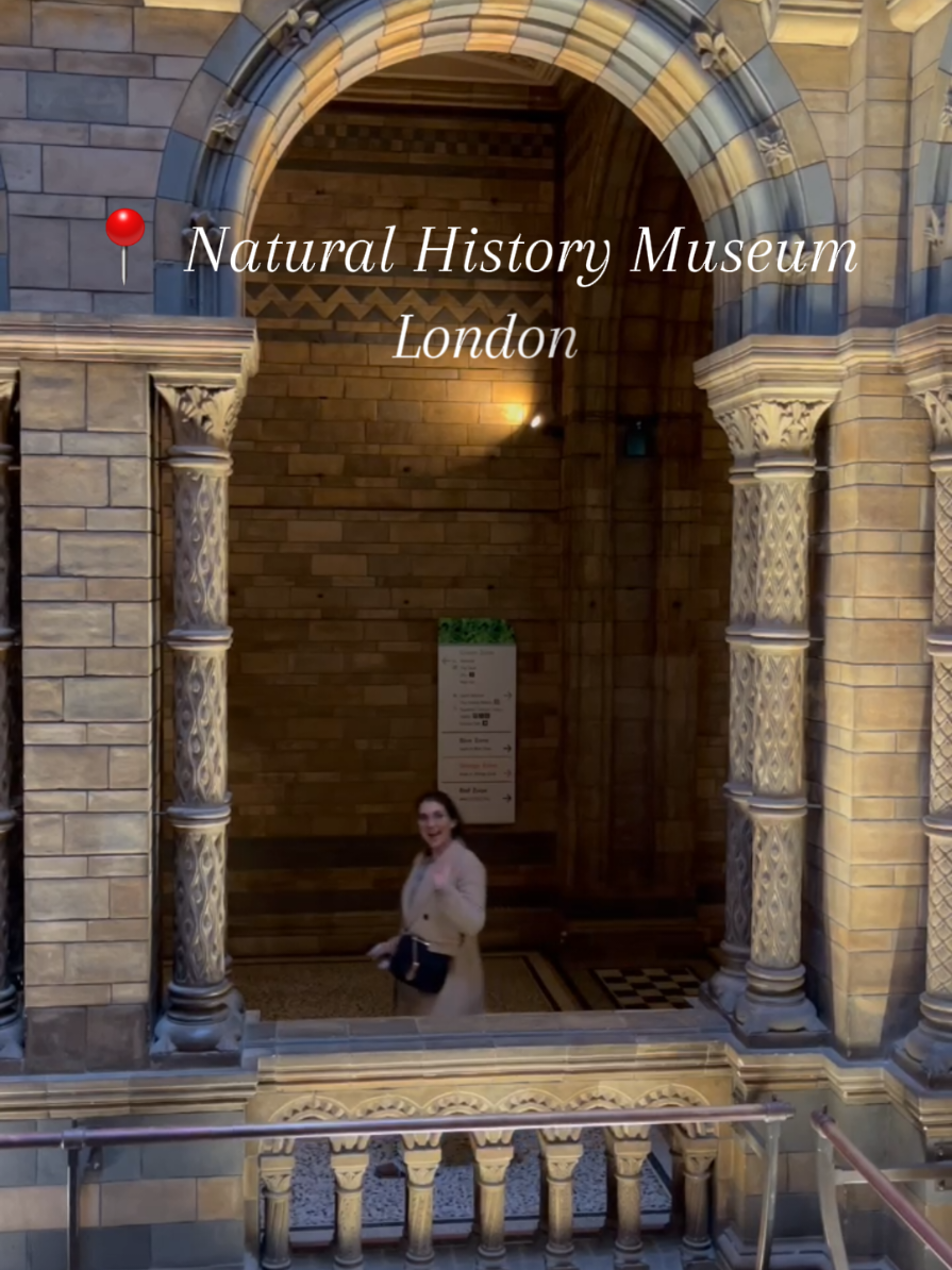 A favourite place to visit in London 🦖🦕🐧 What makes is even better is that's free entry 😻 but it's a good idea to book your free ticket upfront 🎟 #London #travel #travelling #Europe #naturalhistorymuseum #explorelondon 