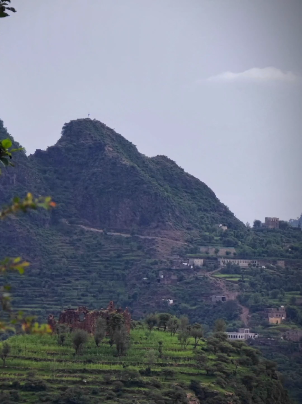 #CapCut  #الفنان #ايوب_طارش  #قوالب #قوالب_كاب_كات #ايوبيات #اغاني #ايوب_طارش #ايوب_طارش_عبسي  #نغم #صباحيات #تراث_يمني #طرب_يمني #الفن_اليمني  #محمية_عتمة #ذمار #ذمار_صنعاء__إب_تعز #تصميم_فيديوهات🎶🎤🎬 #تصويري #المهره #حضرموت #صنعاء #عدن #اب  #الطبيعة #مناظر_طبيعية #محميات_طبيعية #رحلات_طبيعية #سفاري #استكشاف_الطبيعة #عالم_الطبيعة #جمال_الطبيعة  #الطبيعة_والجمال #الطبيعه_والجمال  #خريف_وصاب_العالي #تصويري  #رخوت_الغربيه ..💔ء  #رخوت #المهره ..❤️ء #خريف_حوف #المهرة   #نايــــفABDULLAH  #عفرار #love_elmoharoh  #حب #عشق #💔 ..ء  #ايوب_طارش #حوف_المهرة  #خريف_وصاب_العالي #وصاب  #قوالب #قوالب_كاب_كات #قوالب_كاب_كات_جاهزه_للتصميم  #foryoupage #viral #fypシ゚ #capcut 