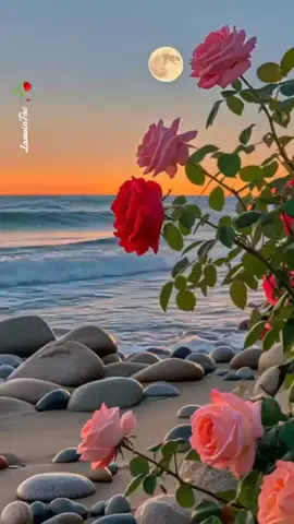 🍄🌼🌻💐🌺🌸🍁🍄 #landscape #nature #fylpシ #fypageシ #fypagee #fyp #larwin789 #larwintac 