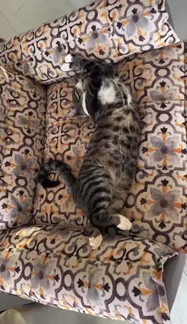 trabalhar nossa @anny #fyp #foryouuu #foryouuu #fyp 