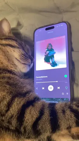 Rory’s playlist pt. 97 @Jade LeMac #constellations #jadelemac #spotify #music #cat #catsoftiktok 