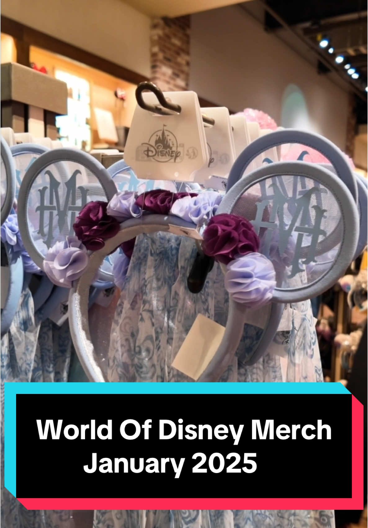 World Of Disney Merchandise - January 2025 #DisneyWorld #DisneyParks #DisneyMerchandise 