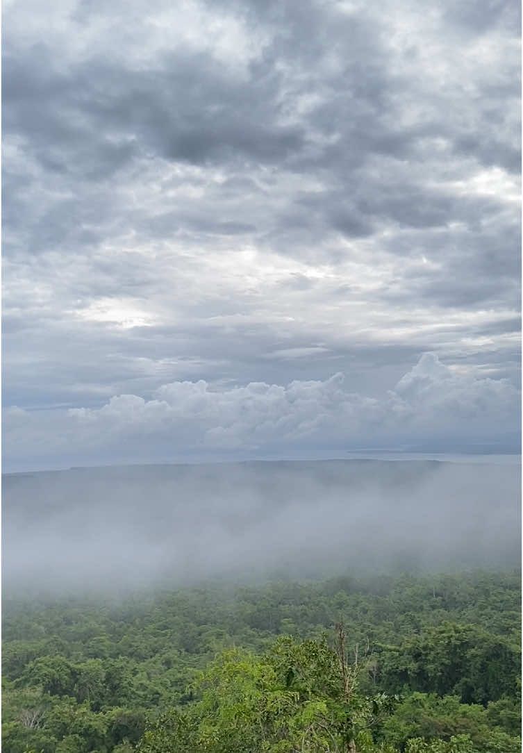 Gunung Kijula💚 Daratan Tertinggi Di Pulau Muna, 478 MDPL #fypシ #butonpride🏝 #wadiabero #Mendaki 