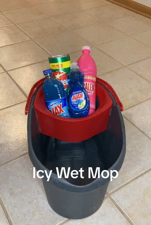 Icy wet mop collab with @capricorncleans if you are not following her please do!  🫧🫧🫧🫧🫧🫧🫧🫧🫧🫧We decided on two products each. Capricorn’s pick was Ajax DS and OG Comet. Mine was pink Cloralen and Blue Ajax. Check out her video and show some love 🫶 #icywetmop #icemopping #wetmopping #CleanTok #fyp #waterdumps 