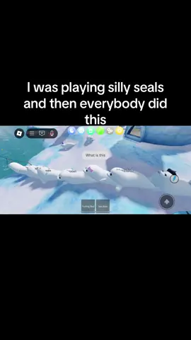 Silly seals but it’s a conga line 🦭🦭🦭 ##fyp##fypシ##lol##beasillyseal##roblox##fypシ゚viral##fyppppppppppppppppppppppp##bellyslapping##idk##funny##🦭##seal##sillyseal