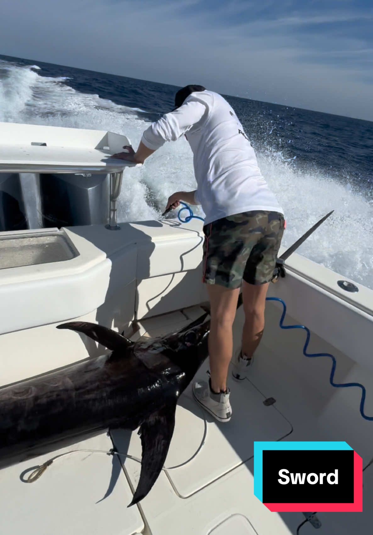 Real one today. More posts this week. #Lyonfish. Insta link in bio to see what it weighed. #florida #offshore #shark #fish #fishing #fishtok #snapper #grouper #boat #animals #wildlife #swordfish #reef 
