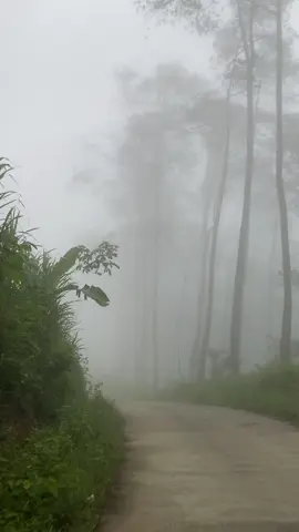 #ngrayun #ponorogo24jam 