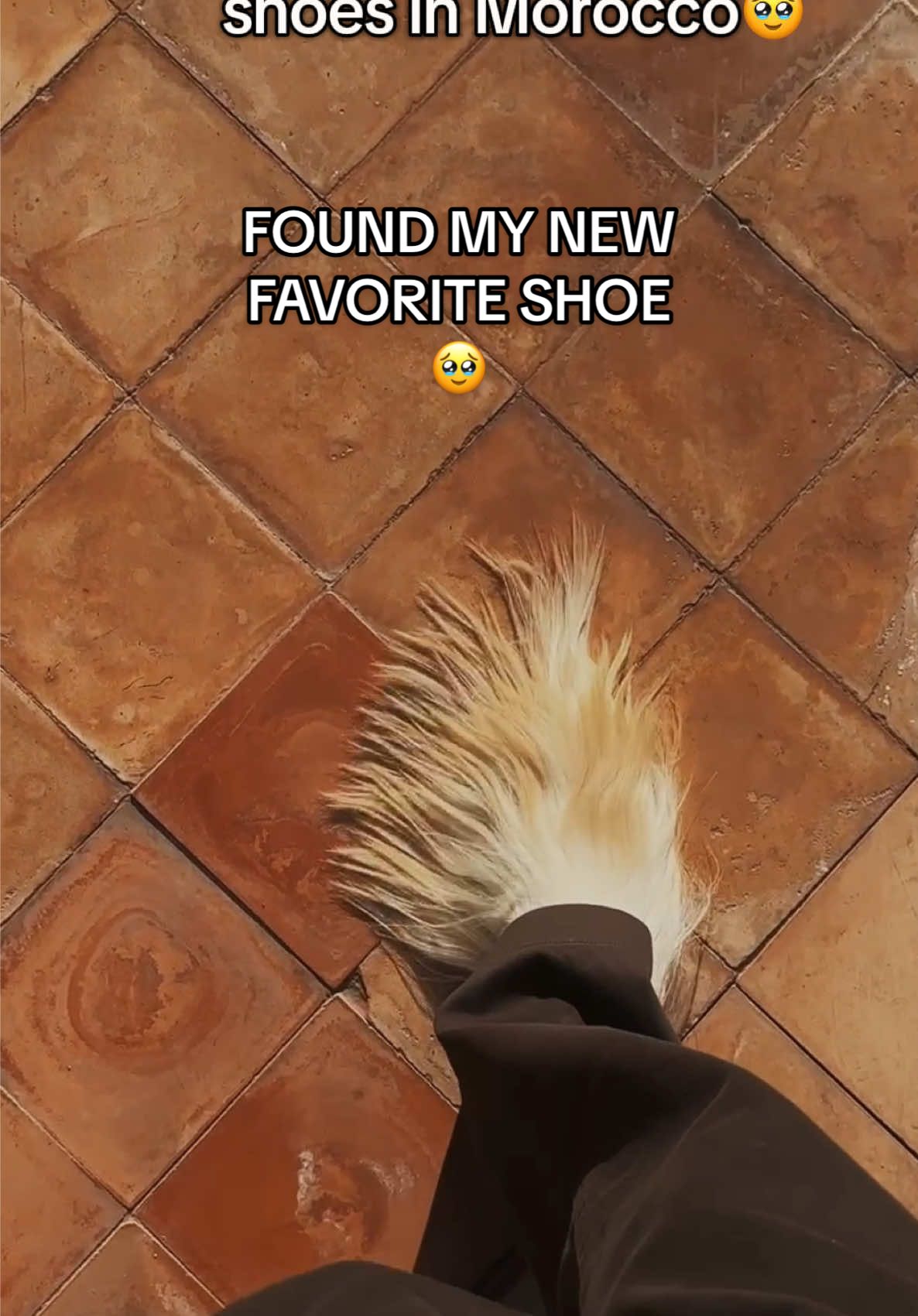 goat hair mules🥹 #mules #mensshoes #slippers #mensfashion #shopping #creatorsearchinsights 