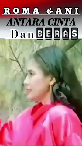 Antara cinta dan beras roma dan ani #parodiroma #videoparodi #romadanani