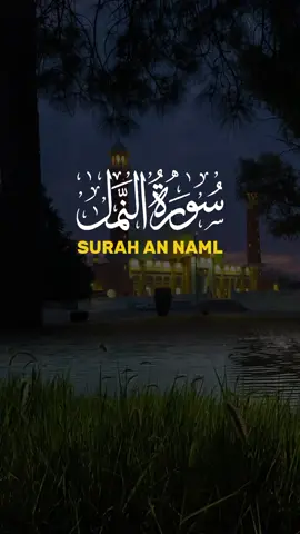 Surah An Naml ayat 87 sampai 88, Bacaan Al Qur'an surah An Naml suara merdu menyentuh hati #alquran #surahannaml #murottalquran #murottal #murottalmerdu #recitationquraan 