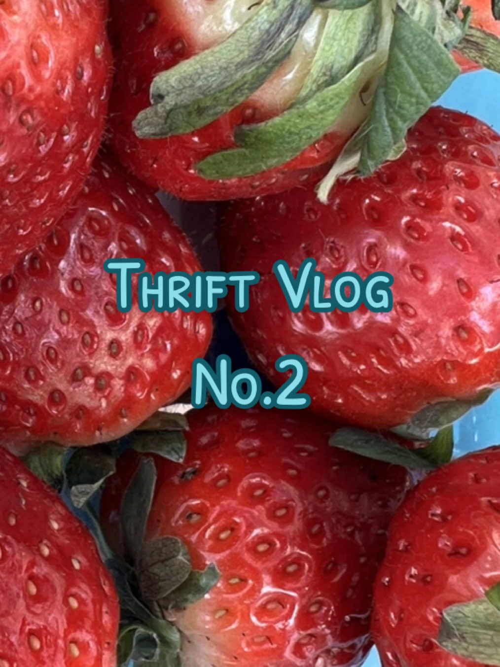 BACK AT IT WITH THE THRIFT VLOG 😅 #besties #thrift #dorm #roomies #college #goodwill #Sustainability #fyp #fitcheck #florida #viral #Vlog #podcast #twogals #imjustagirl #weslay #slay  @karli 🌞🥭🦎 