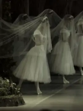 gothic vibe🗝📜 #gothic #dance #ballet #foryou #art #ballerina #royal #architecture #giselle 