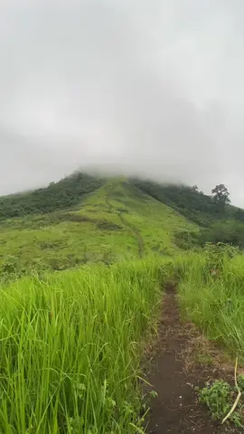 Vibes Talogah 2021✨🍃 #fyp #talogah #bukittalogah #kalimantanbarat 