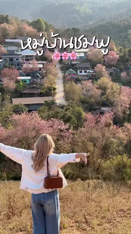 ”หมู่บ้านแห่งดอกไม้สีชมพู 🌸⛰️“ ครั้งแรกที่ได้ไป โชคดีมากกที่ยังเจอดอกไม้สีชมพูอยู่ ที่นี่คือ จ.พิษณุโลก  #ข้าววิพาทัวร์ #พิษณุโลก #บ้านร่องกล้า #ซากุระเมืองไทย #tiktokพาเที่ยว 