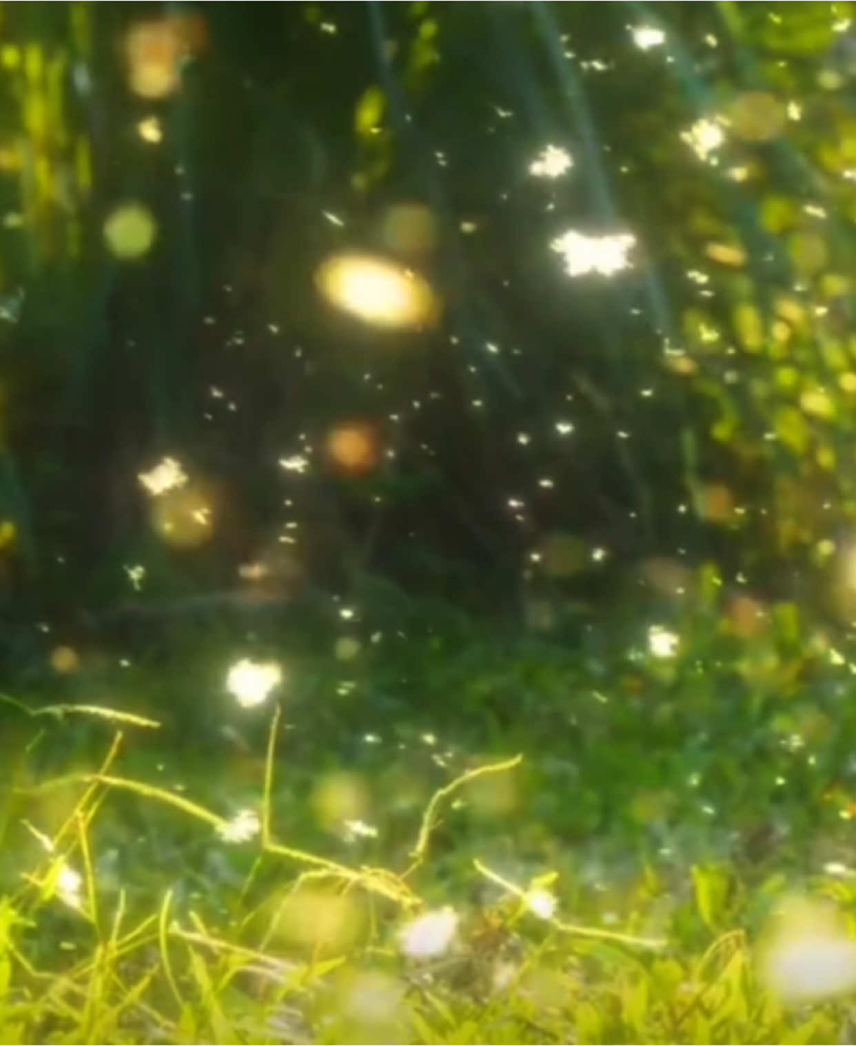 1 caption cho video này #小红书 #chill #tâmsự #canhdep 